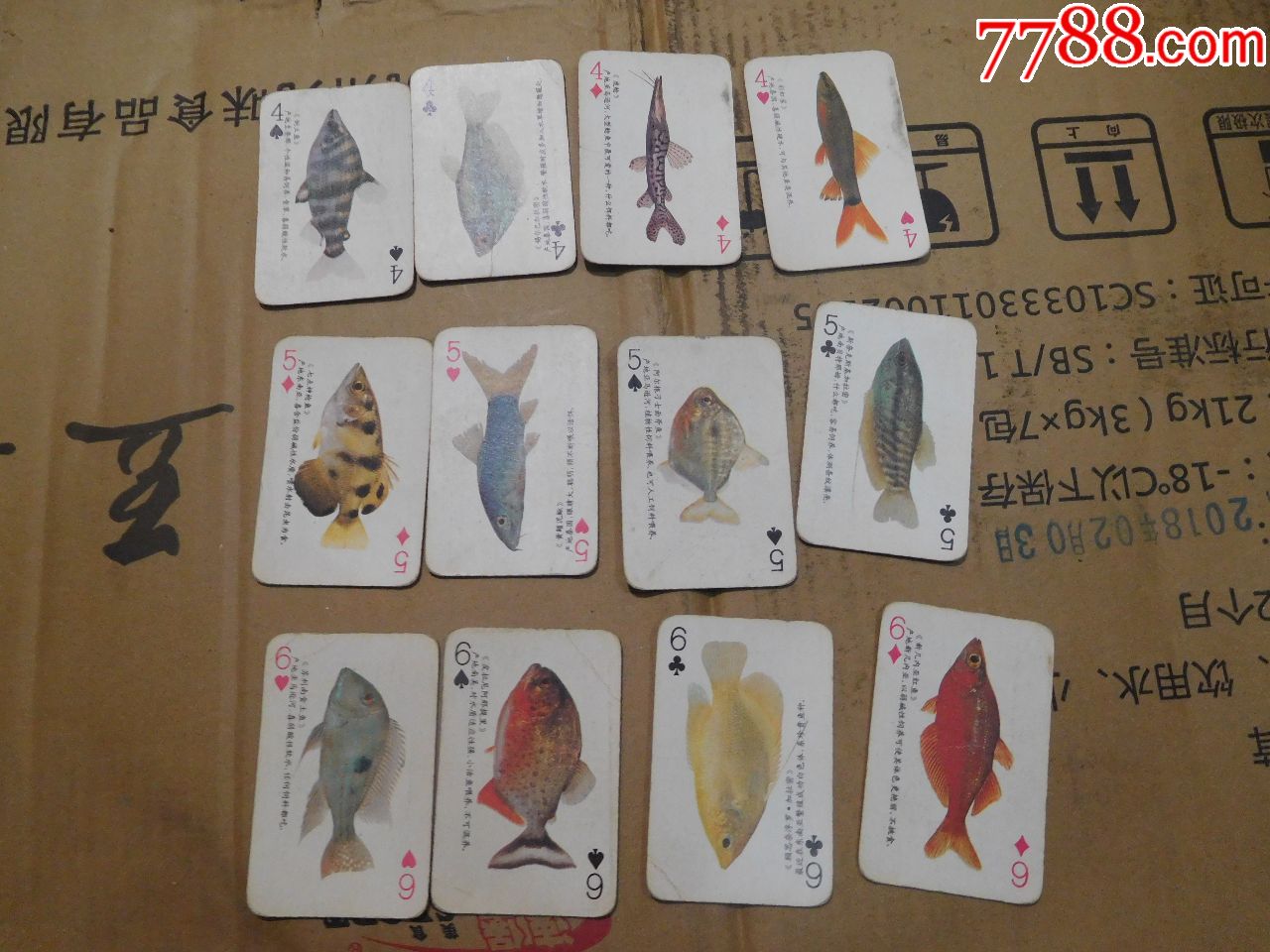 扑克牌水鱼大小顺序图片
