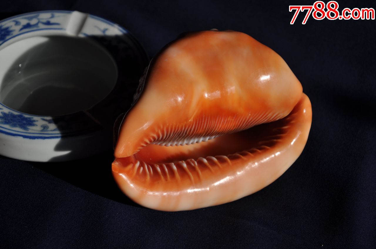 不知名,红螺一个.很重,可做笔架,镇纸之类的.有想象力.