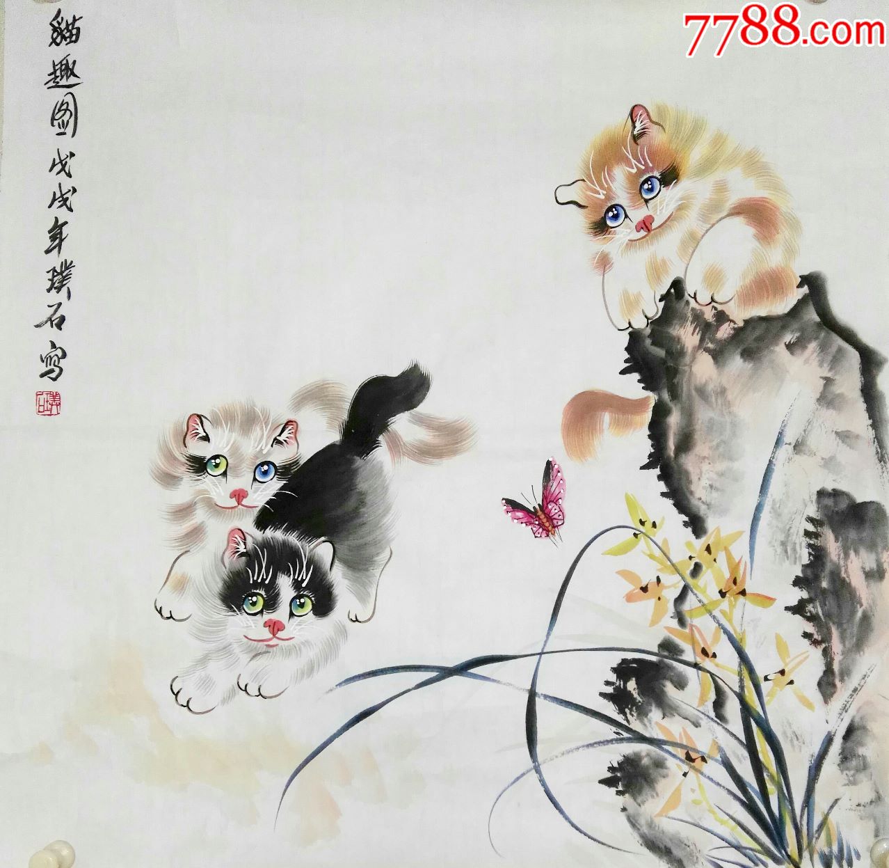 璞石老师精品猫图