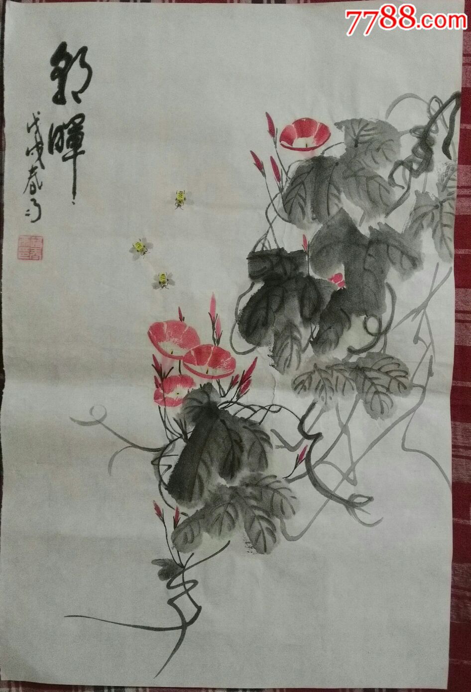 国画牵牛花一一朝晖