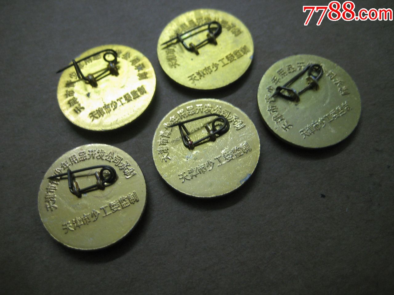 天津少工委雏鹰行动.自护,自学,自强,自律,自理