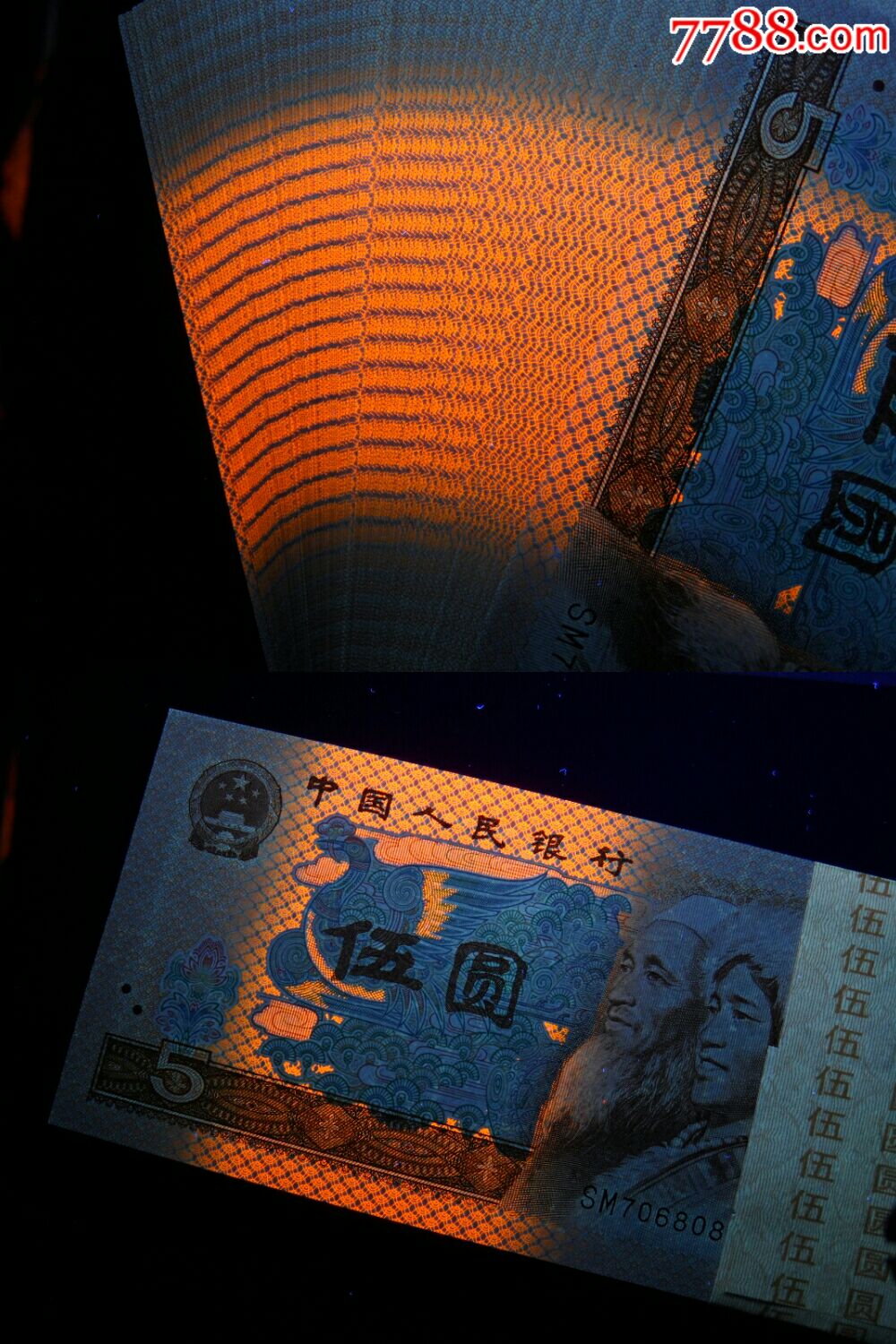 805特强荧光,金光蓝鹤标十.不要拿普通货比
