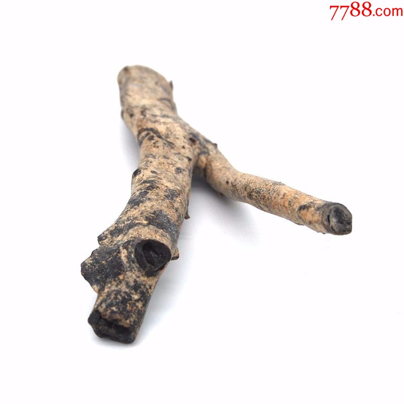 纯天然海柳化石烟斗原料(包真)-烟嘴-7788烟酒茶牌