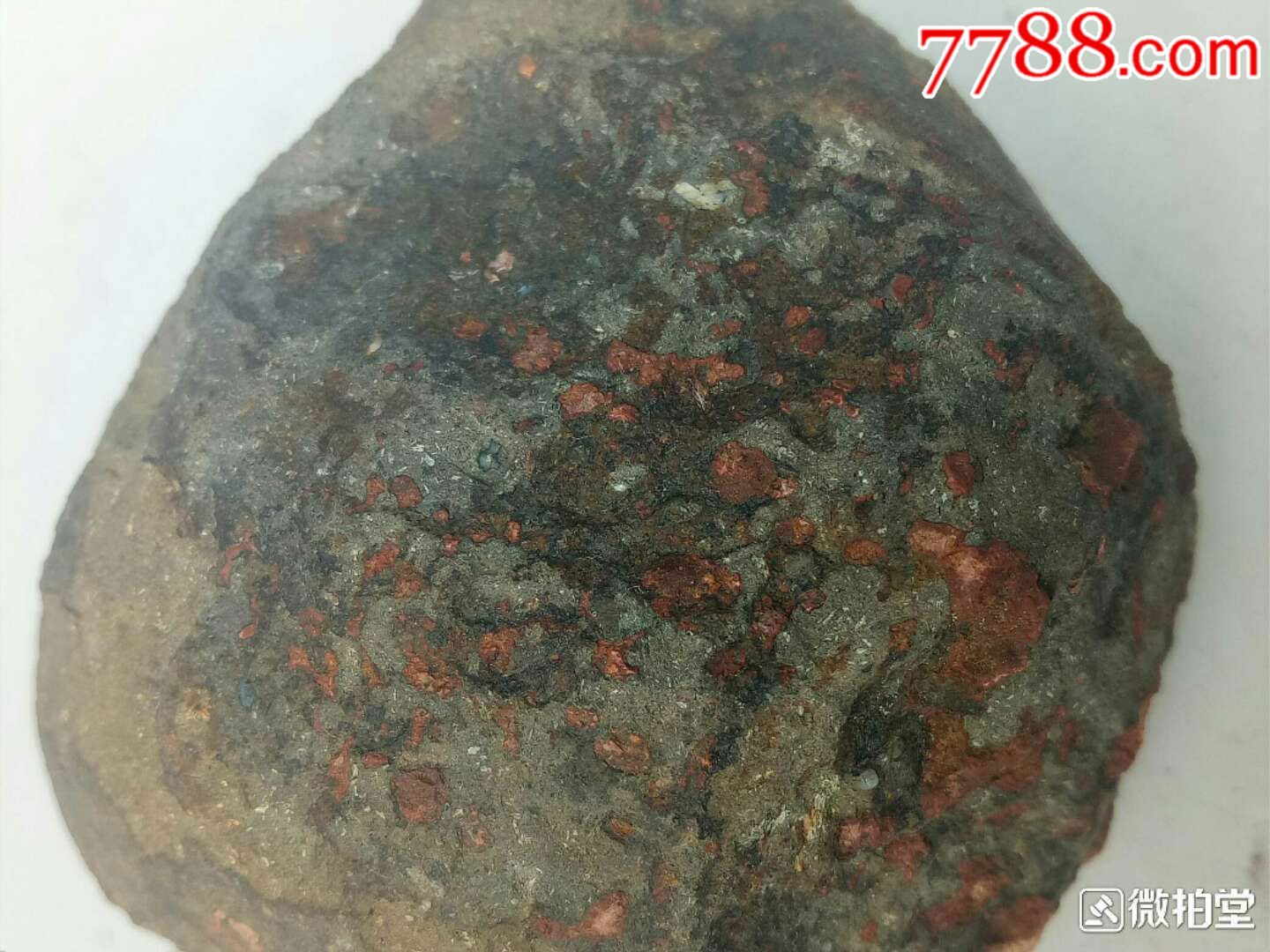 灶神星红球粒陨石(弱磁