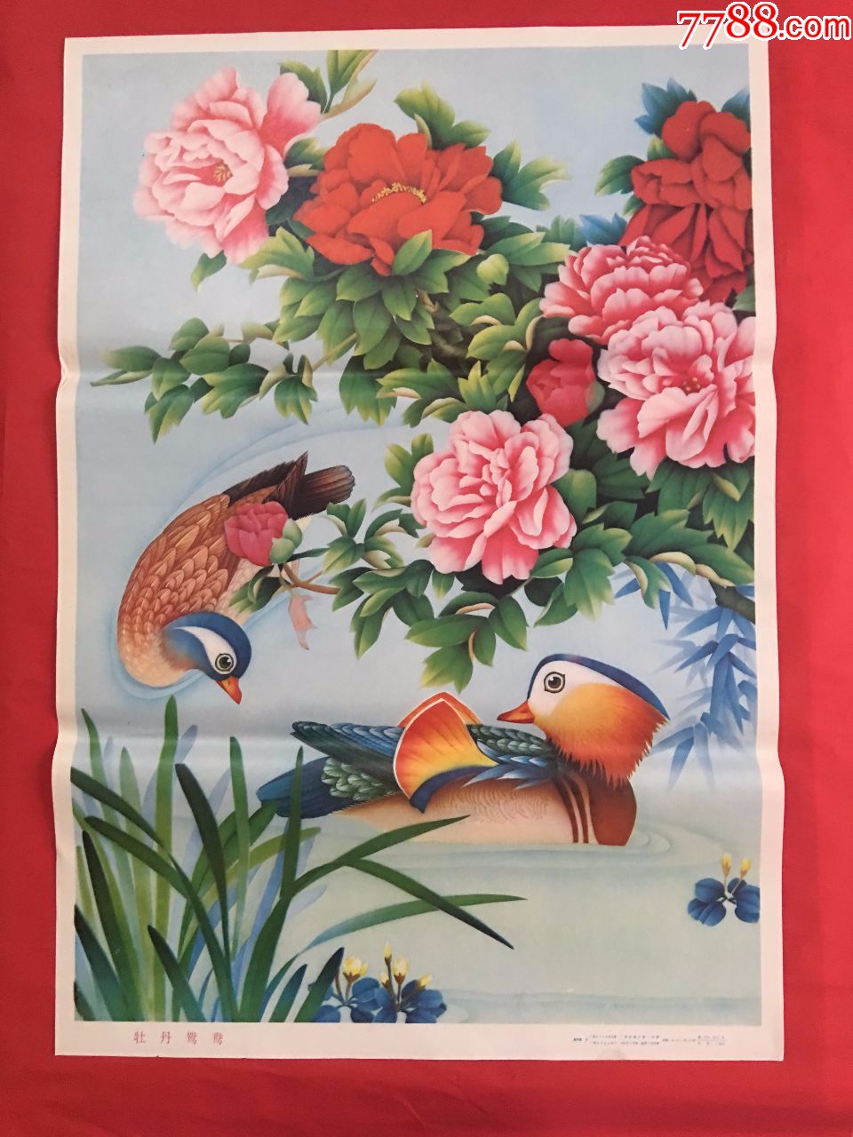 牡丹鸳鸯(画美纸好品全,年画/宣传画_第1张