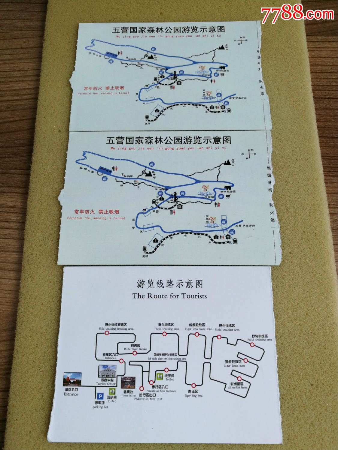 五营国家森林公园和东北虎林园