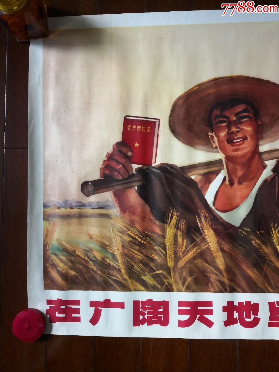 知识青年上山下乡