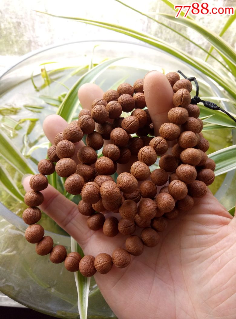 榆叶梅108-价格:138元-au18240215-菩提手串/佛珠 -加价-7788收藏