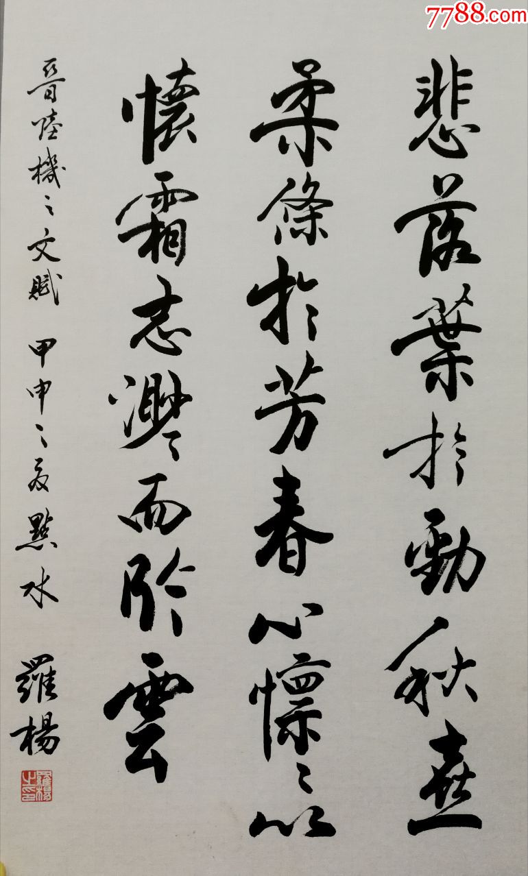 中国书法家协会理事【罗杨】书法真迹