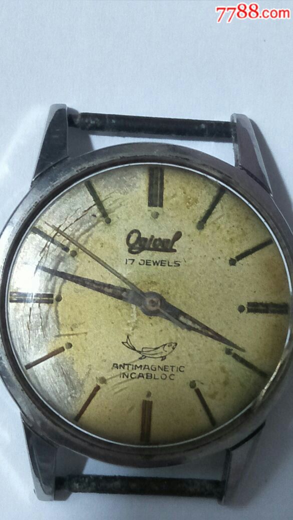 fisk进口手表上面有条鱼128032;标志