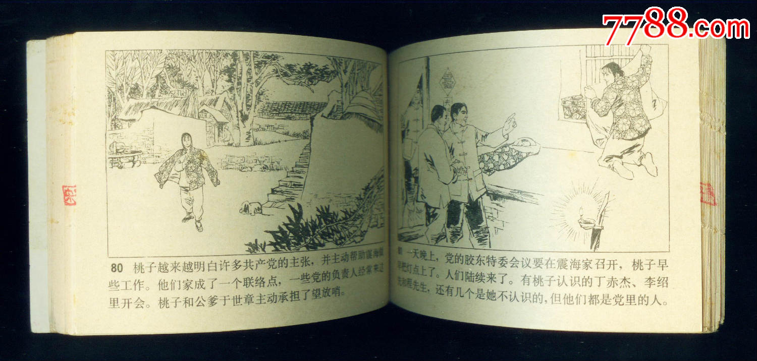 【山菊花】(上下册全)天津版!_连环画/小人书_第6张