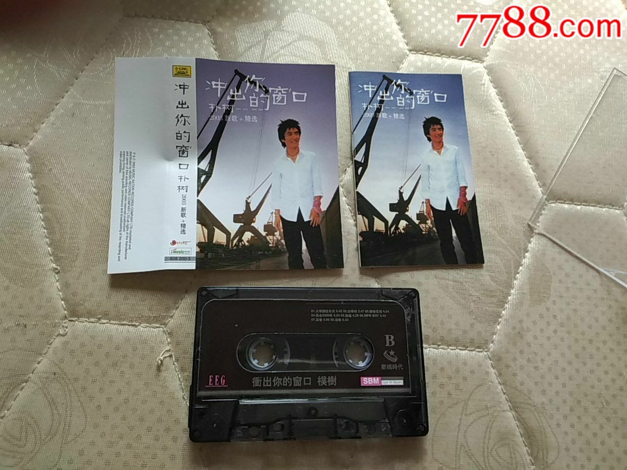 朴树(冲出你的窗口)