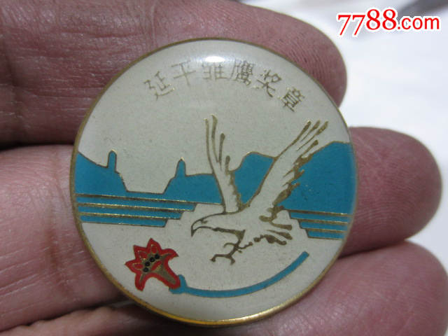 延平雏鹰奖章(延平区少工委制)