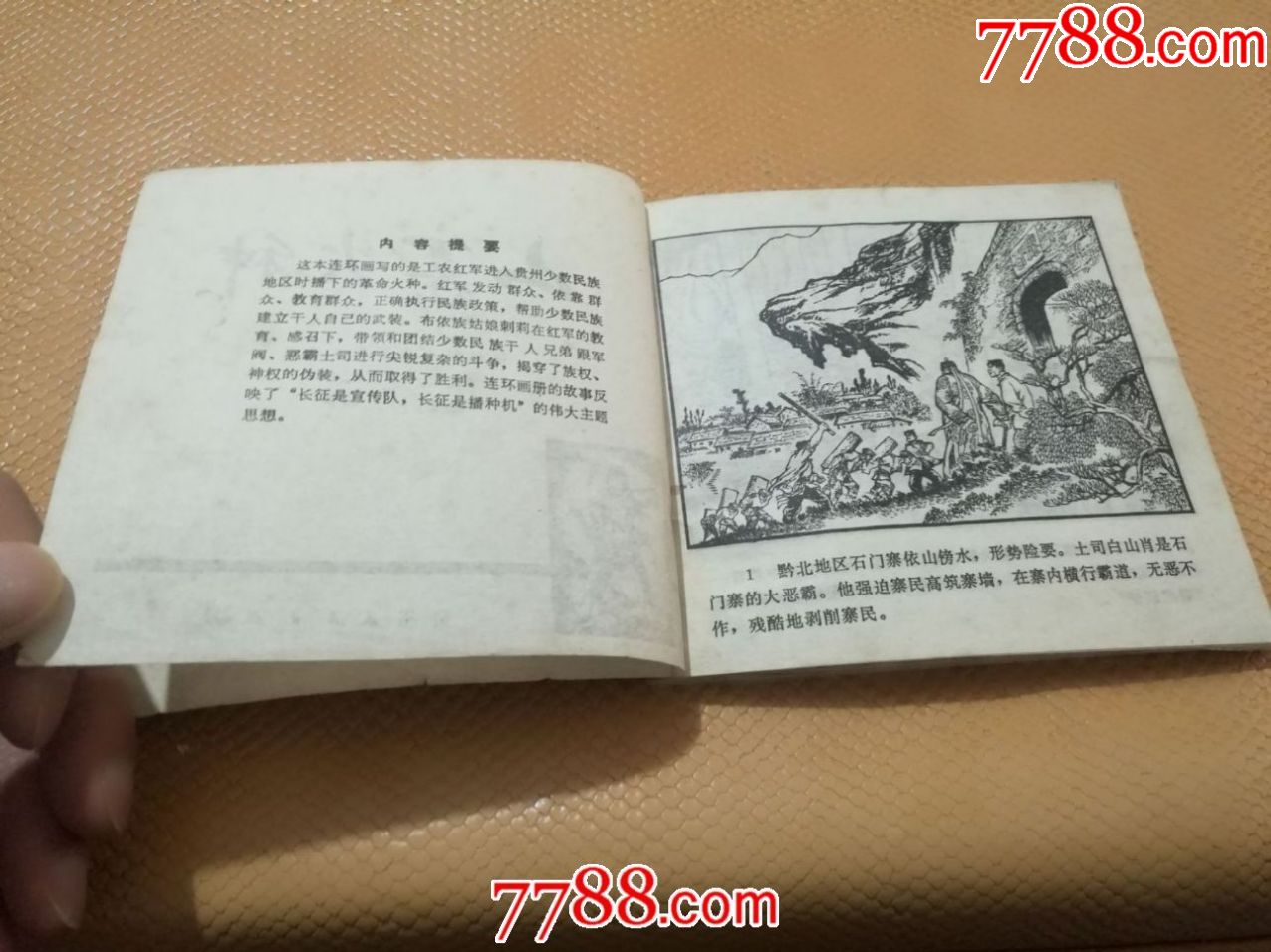 山寨火种(d9)