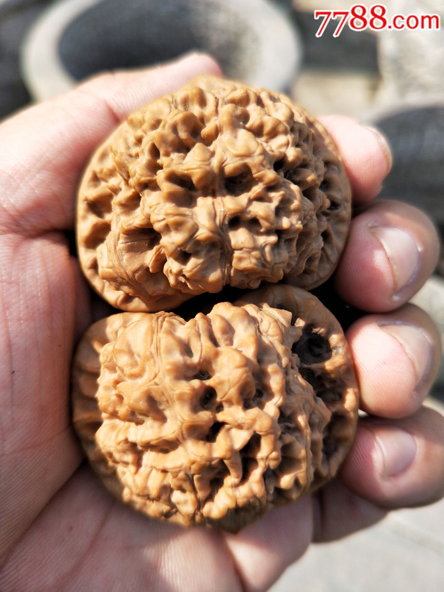 矮桩官帽_文玩核桃_第1张