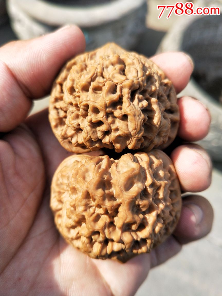 矮桩官帽_文玩核桃_第2张