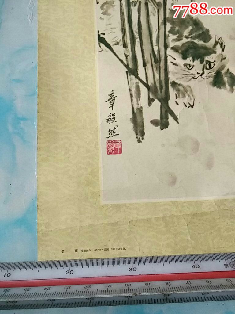 57年章毅然国画蜀葵