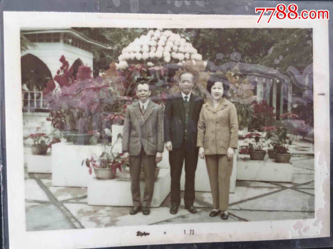 罕见60、70年代香港富人家照一版