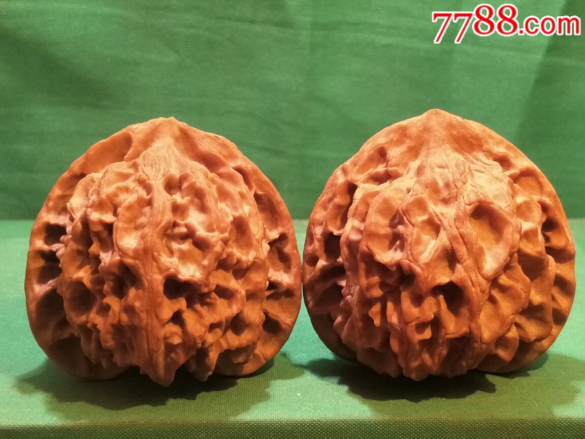 精品老树梅枝纹(苹果园)狮子头