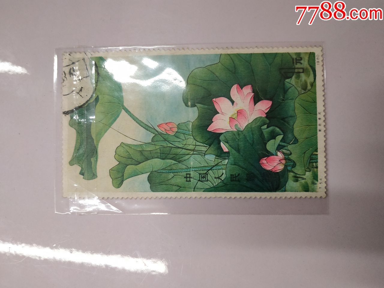 80年t54保真荷花邮票