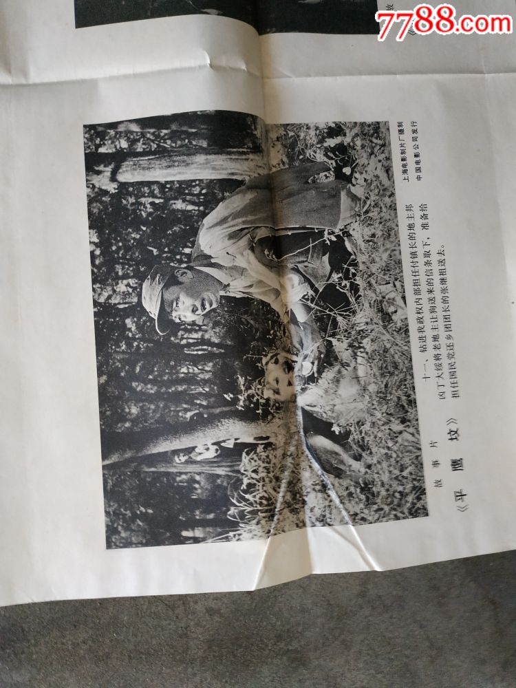 平鹰坟电影海报