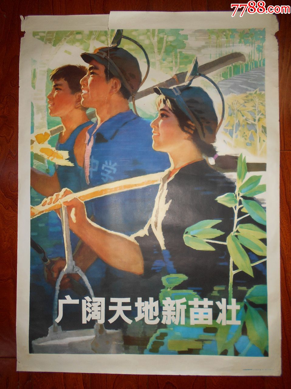 广阔天地新苗壮==全开知青经典题材