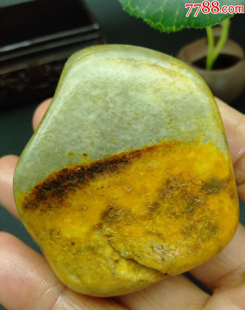 1434和田玉黄沁僵皮青玉籽料原石78克
