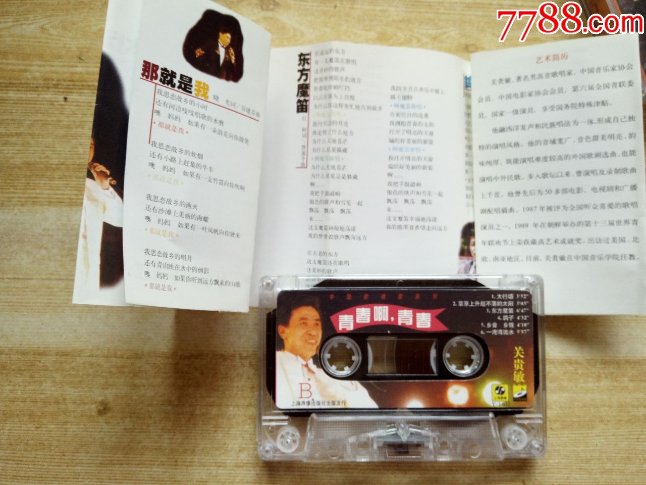 关贵敏-青春啊青春