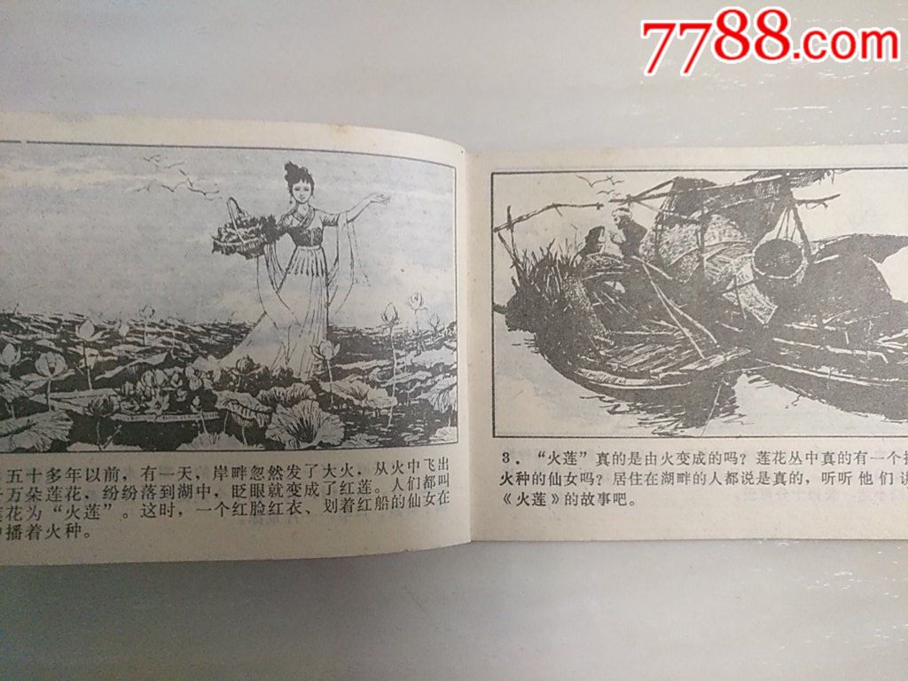 火蓮_價格35元_第5張_