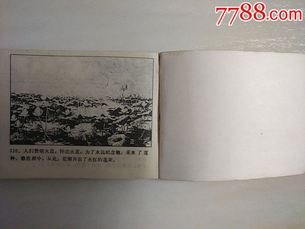 火蓮_價格35元_第6張_