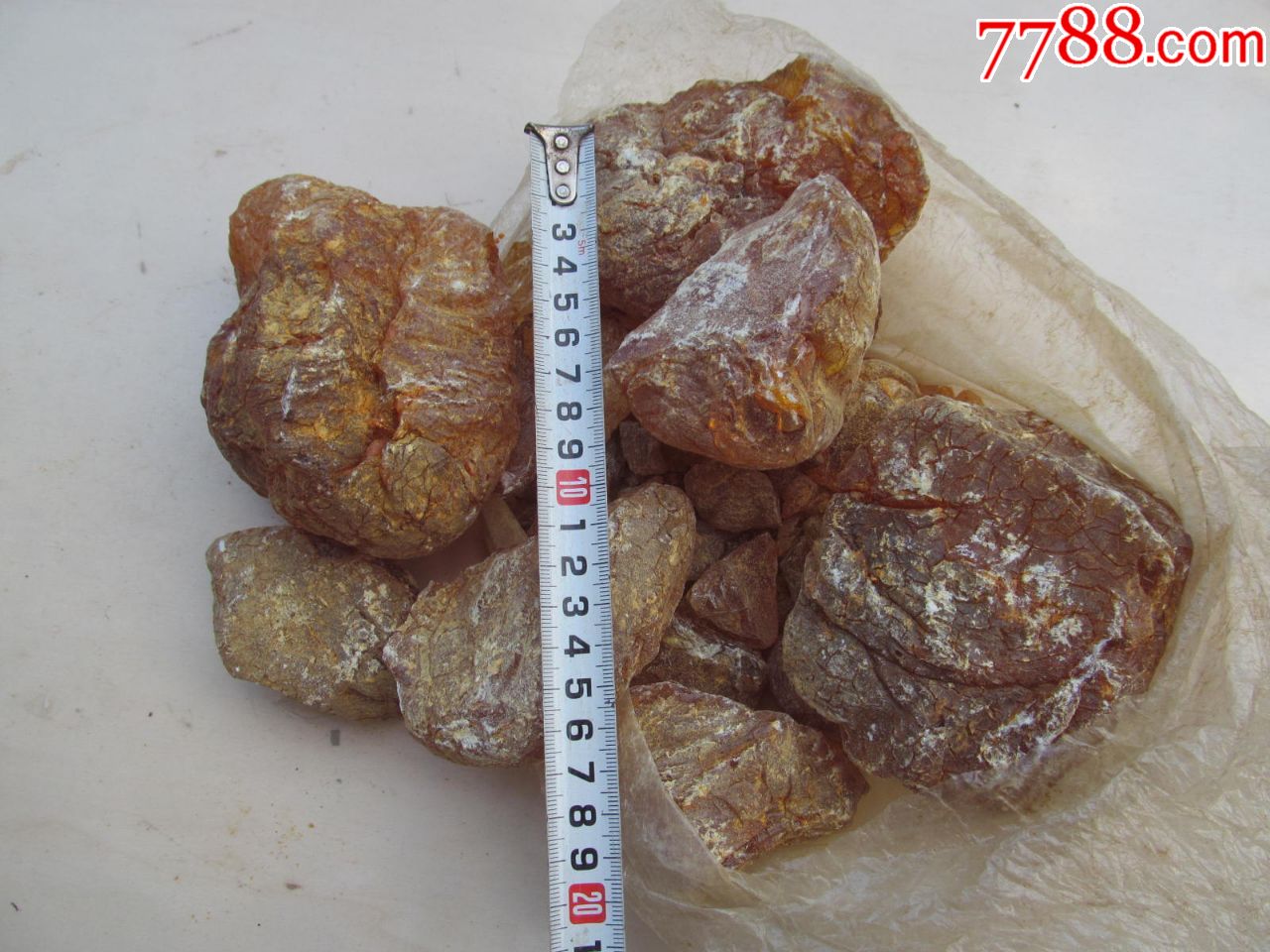 天然松香3.1斤左右_硅化木/木化石【一往情深】_第3张