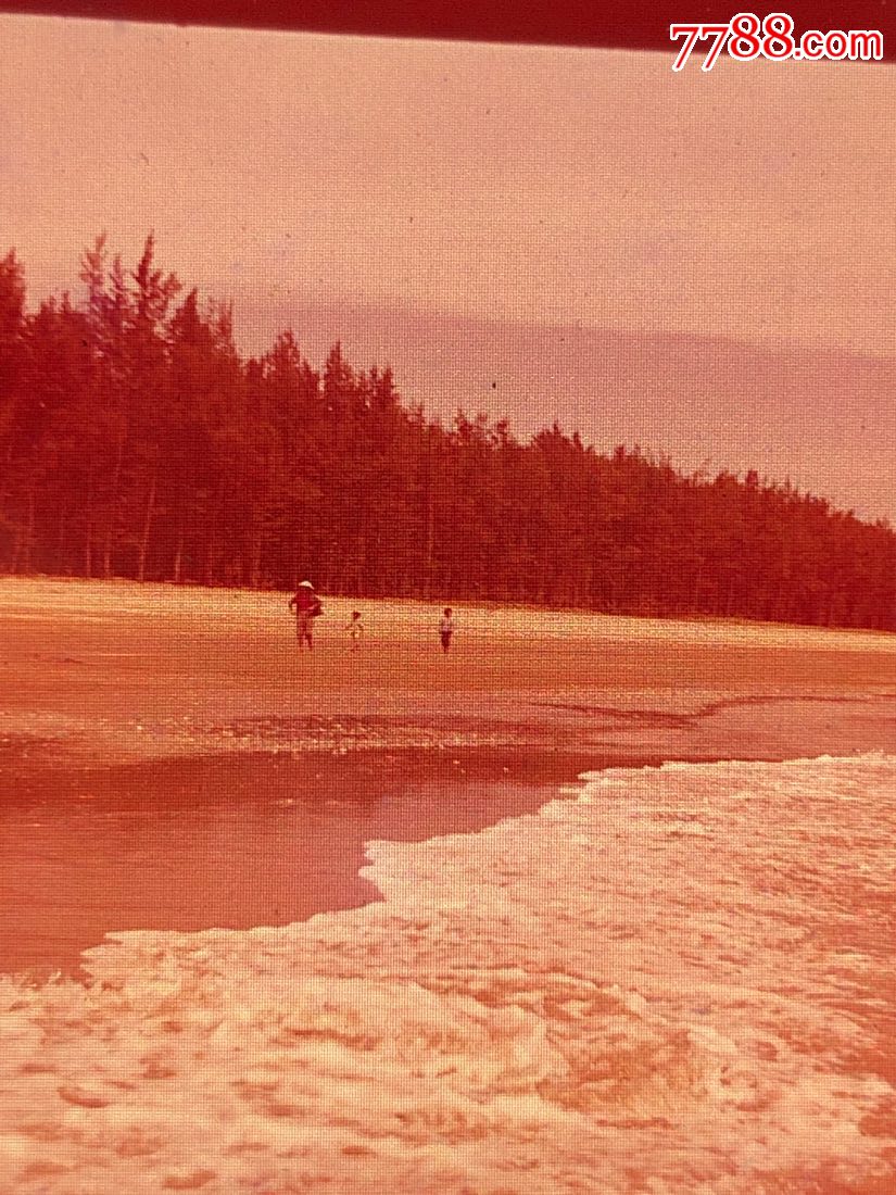 反转片:1978年东兴县成立(11)防城白浪滩风景区_老照片_南国杂物店