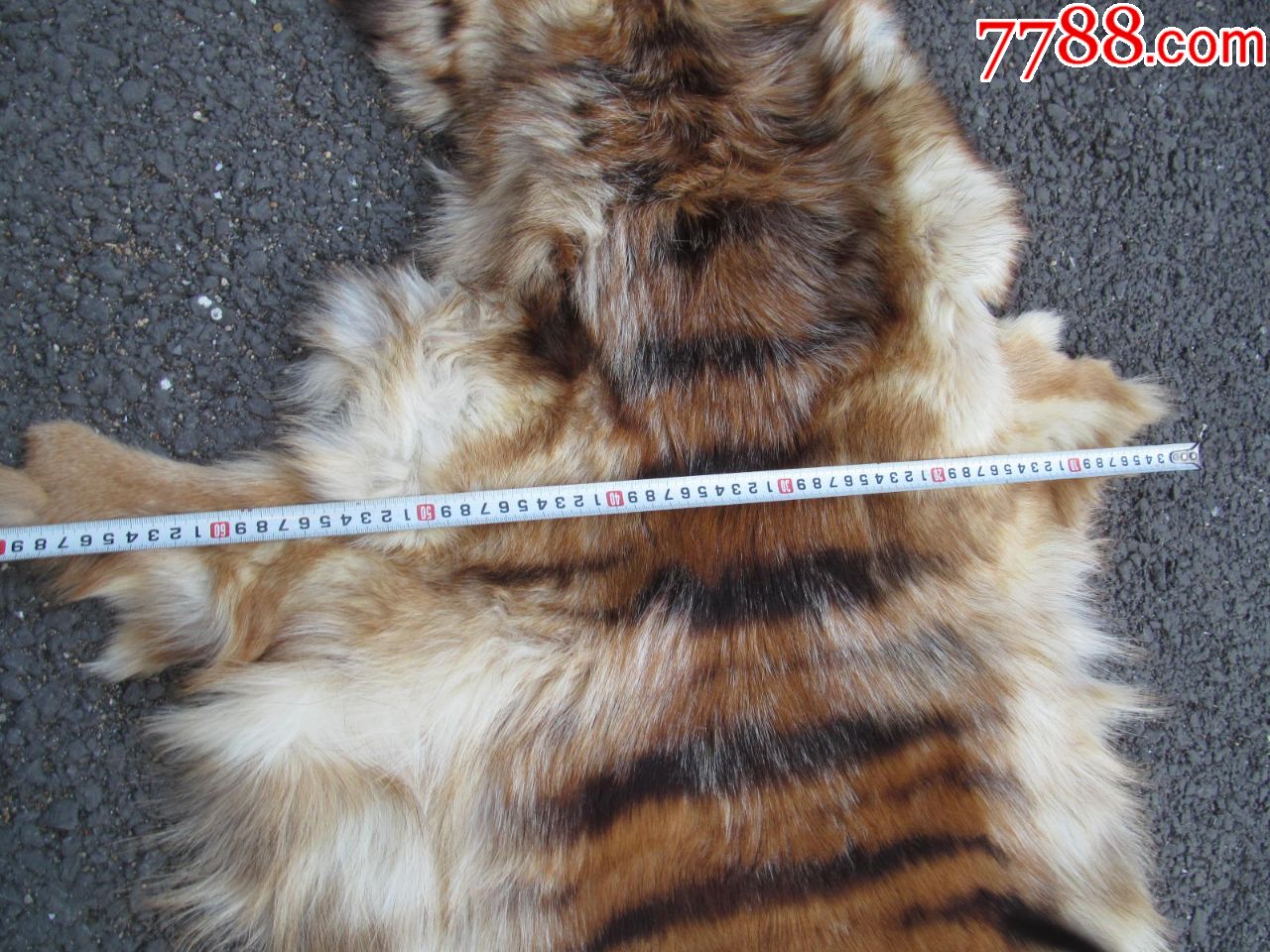 狗皮 大小图中有示,瑕疵在图上,快递费用20_其他