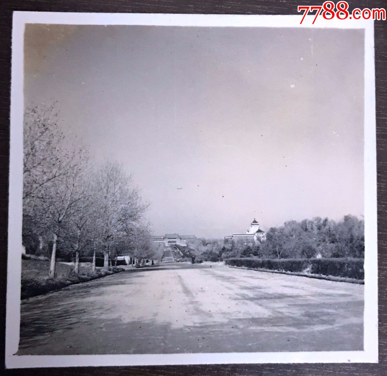 建国初长春建筑风光照—23张合售