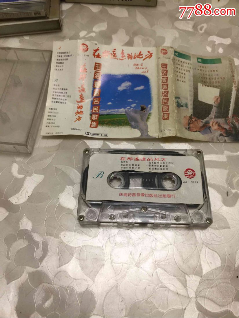 在那遥远的地方-王洛宾著名民歌集