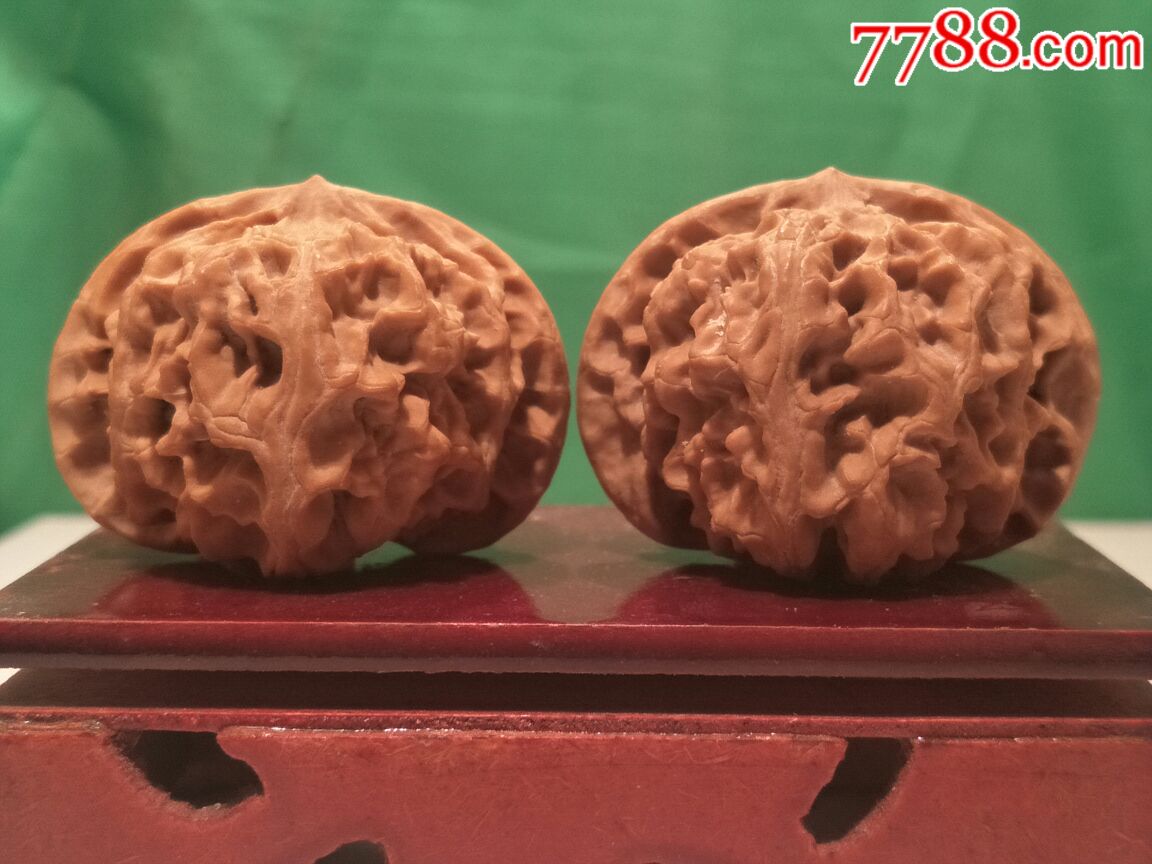 精品老树梅枝纹(苹果园)狮子头