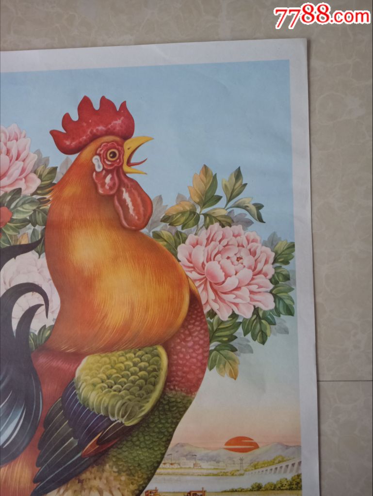 海南大公鸡二版彩图图片