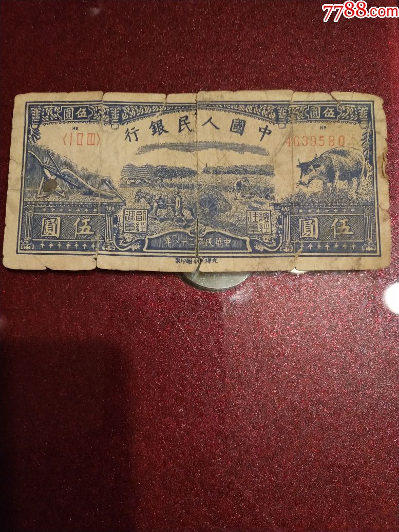 一版纸币5元水牛图