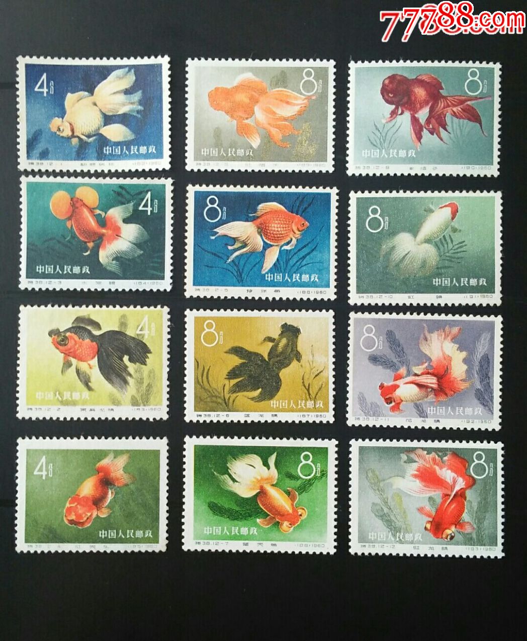 特38金鱼新全套上品_新中国邮票_第1张