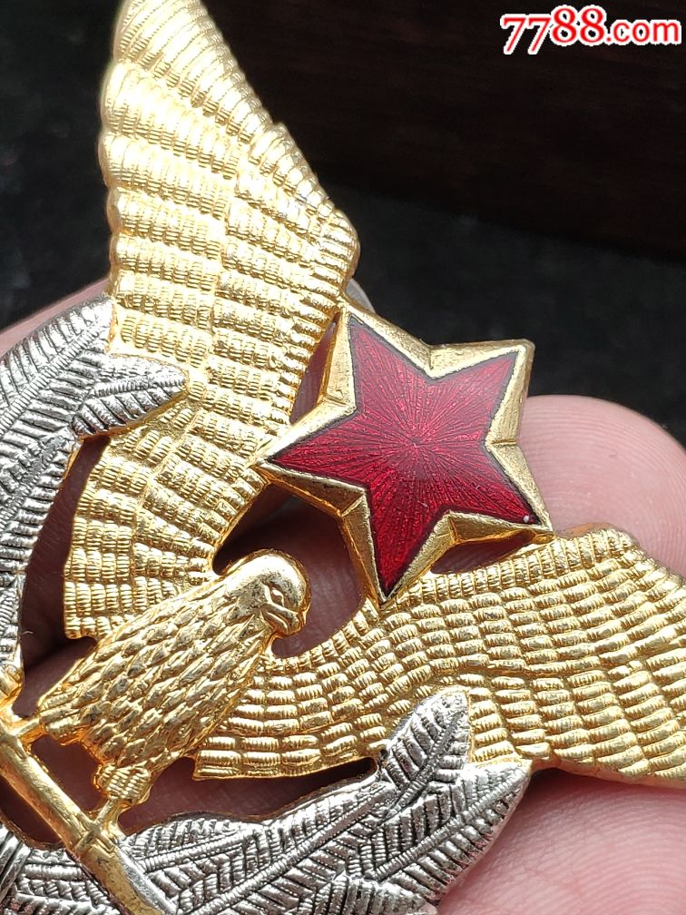 南斯拉夫空军大帽徽