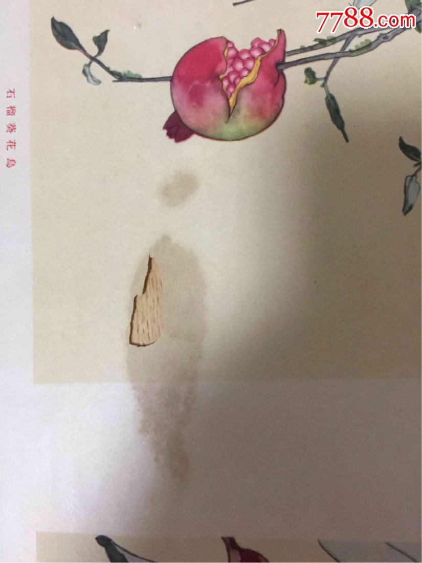 1963年花鸟年画《石榴葵花鸟《花香鸟语》合售(皆是对开)