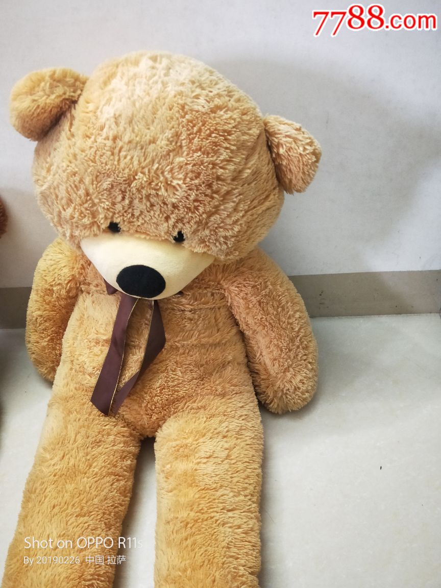 大布熊泰迪熊