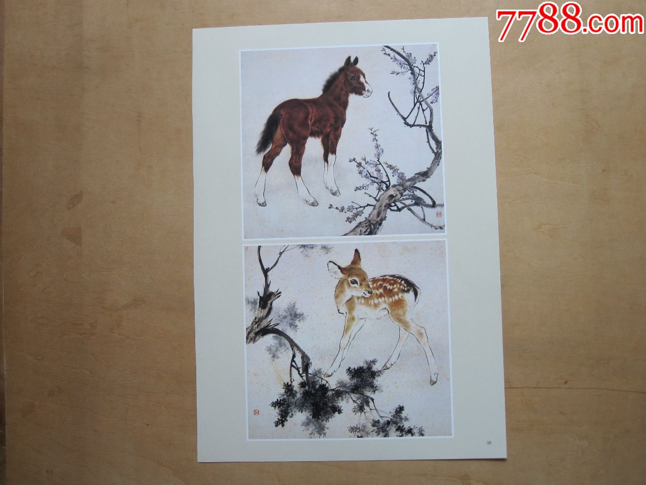 小马小鹿(刘继卣画)