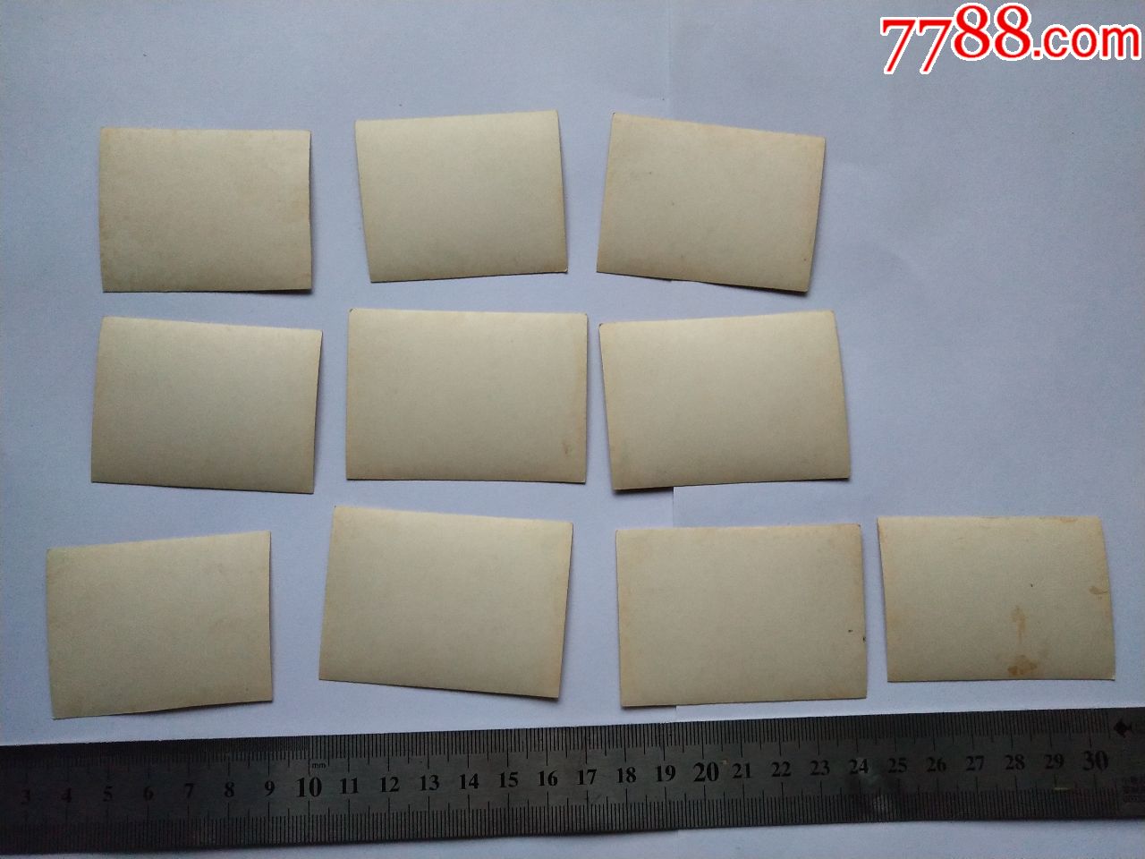 建国初期,湖南长沙,育英小学,毕业庆典