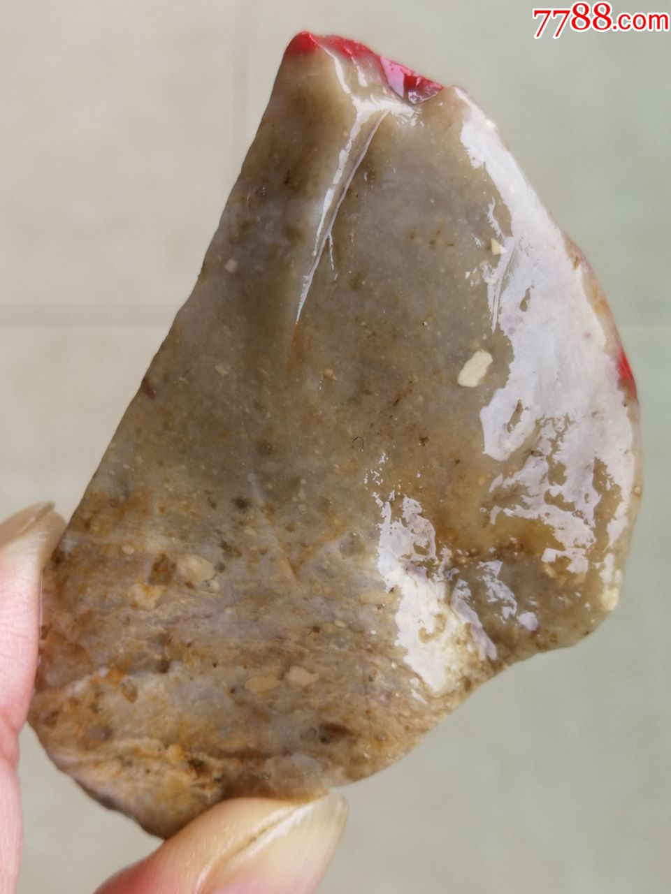 漂亮!45g软玉地鸡血挂件料原石