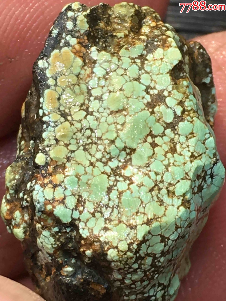 绿松石14.29g原矿高瓷毛料