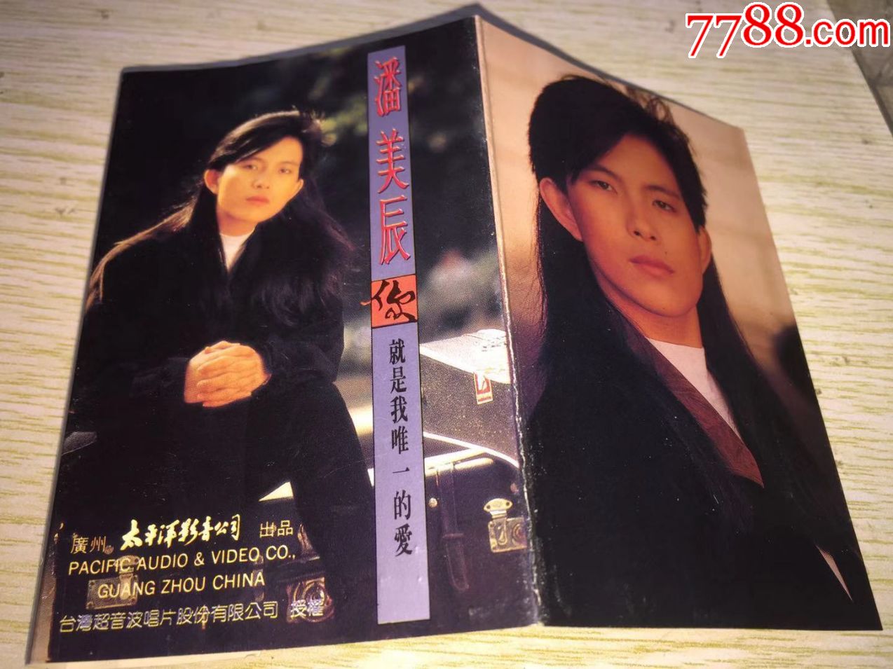 潘美辰--你就是我唯一的爱