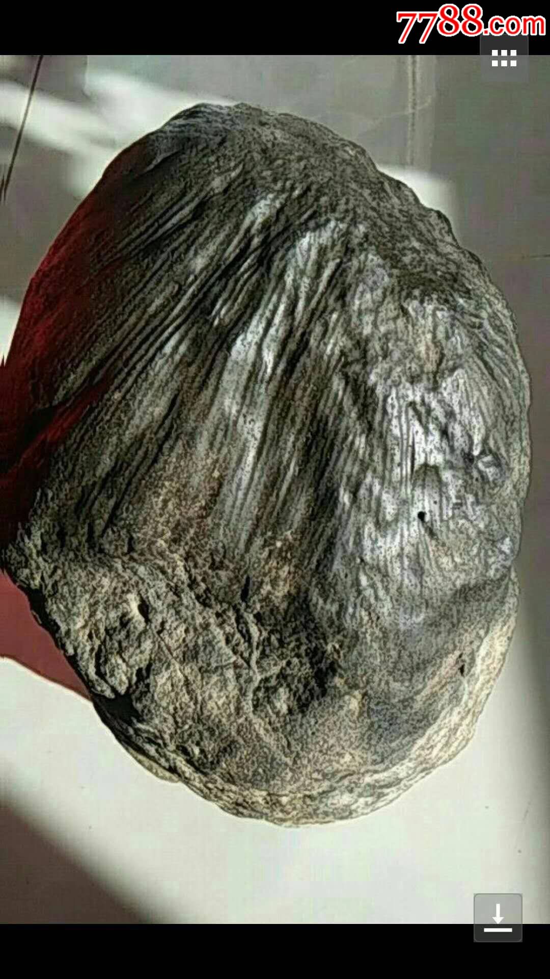 定向陨石-陨石-7788工艺品