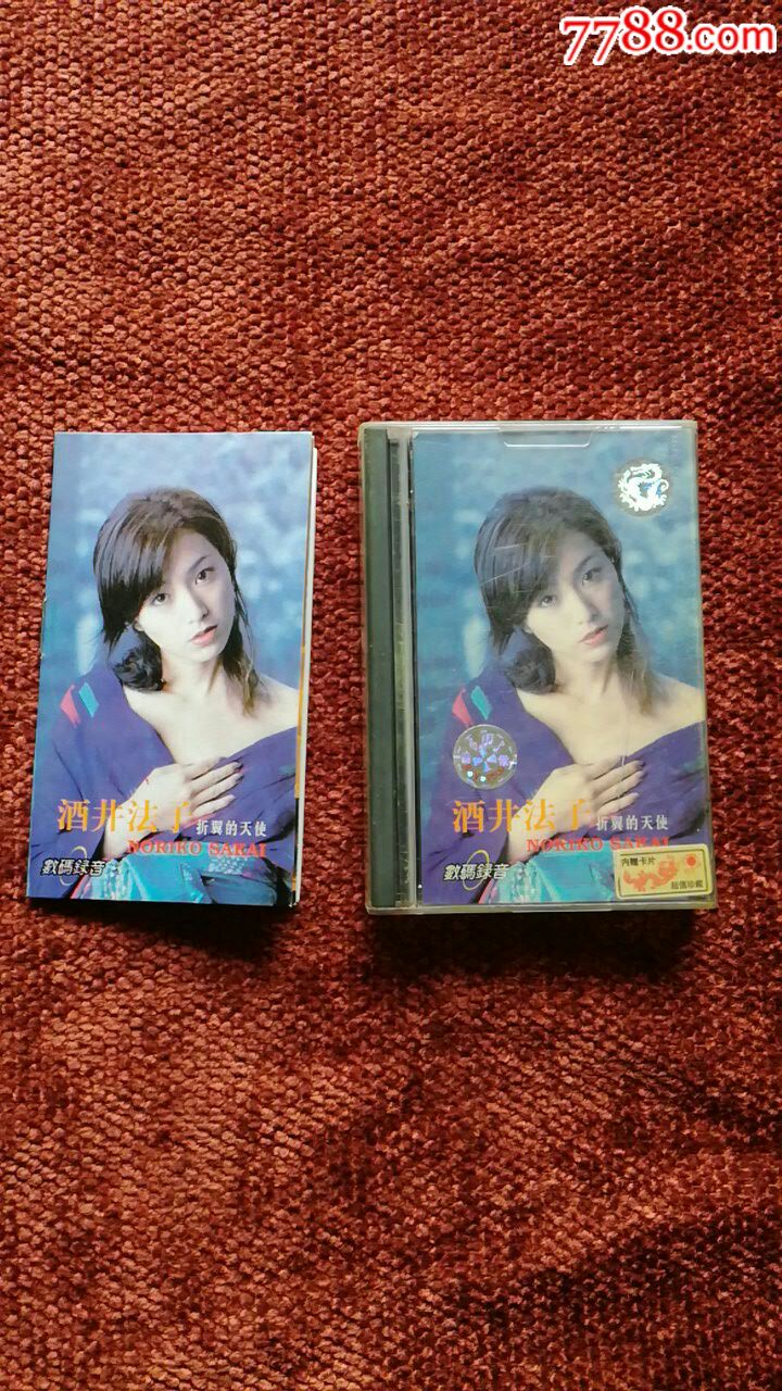 酒井法子折翼的天使