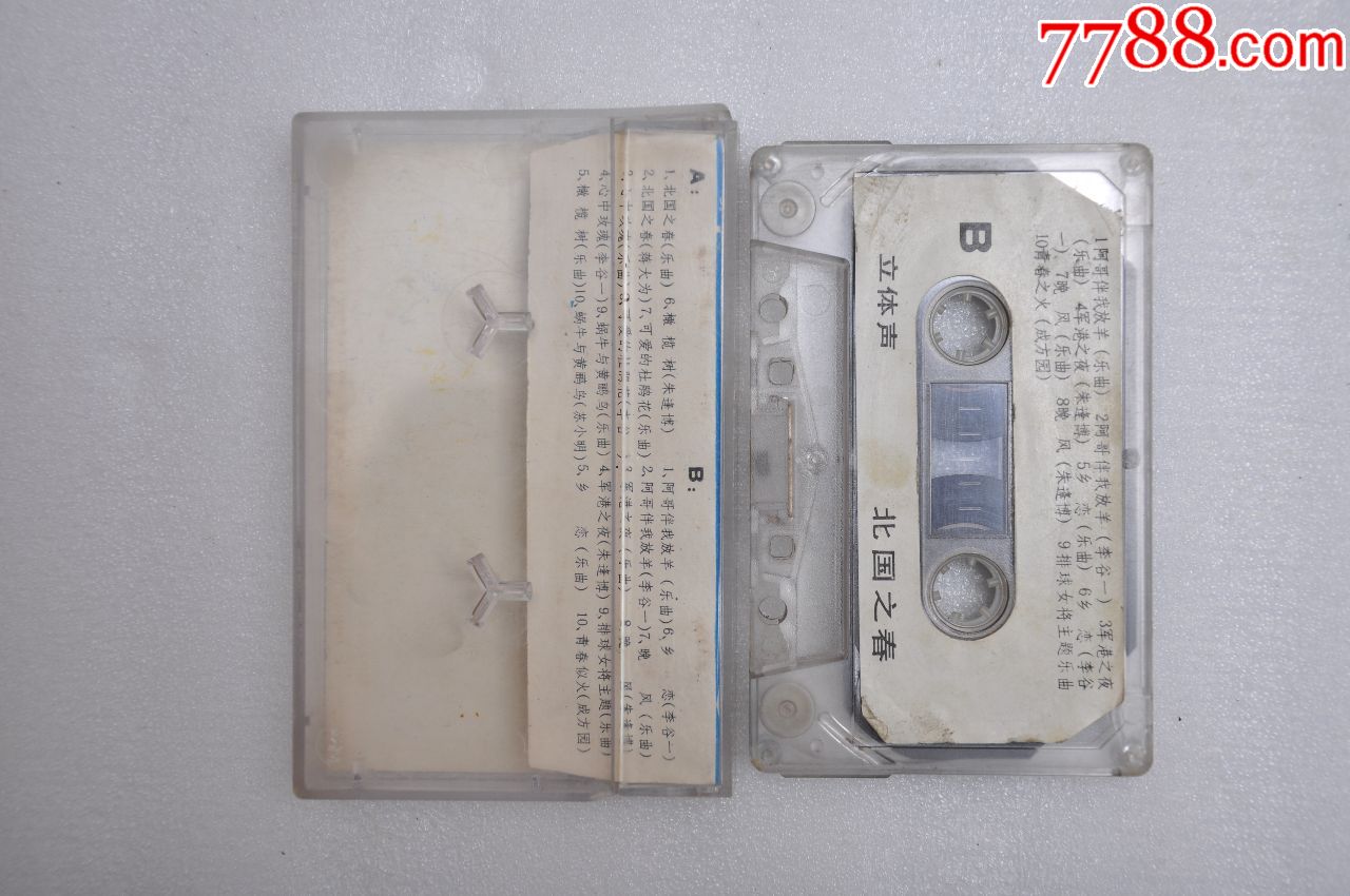 电子琴音乐歌曲《北国之春》